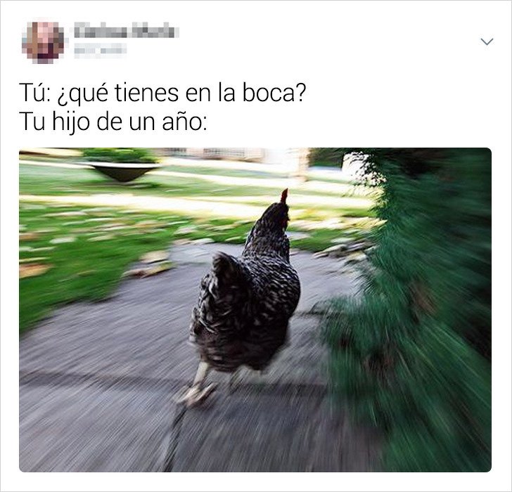 8974560 25160110 2f699d245ba8a9fb2f0252b4933319089145cd09 728 1 1577447872 728 4da093a200 1578625764