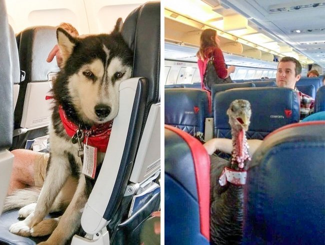 Trucos De Aviones Que Poca Gente Conoce