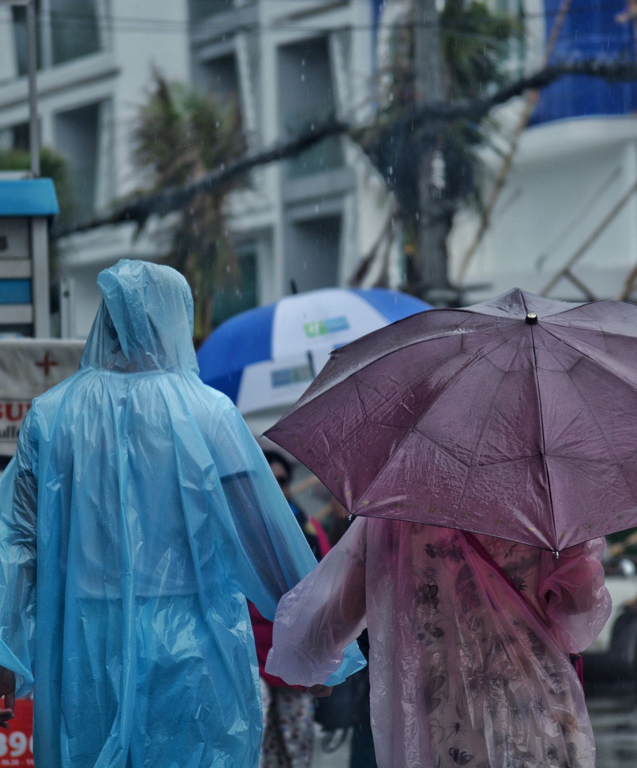 Personas con paraguas e impermeables bajo la lluvia